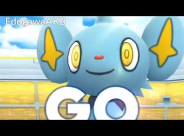 ポケモンGO  コリンク