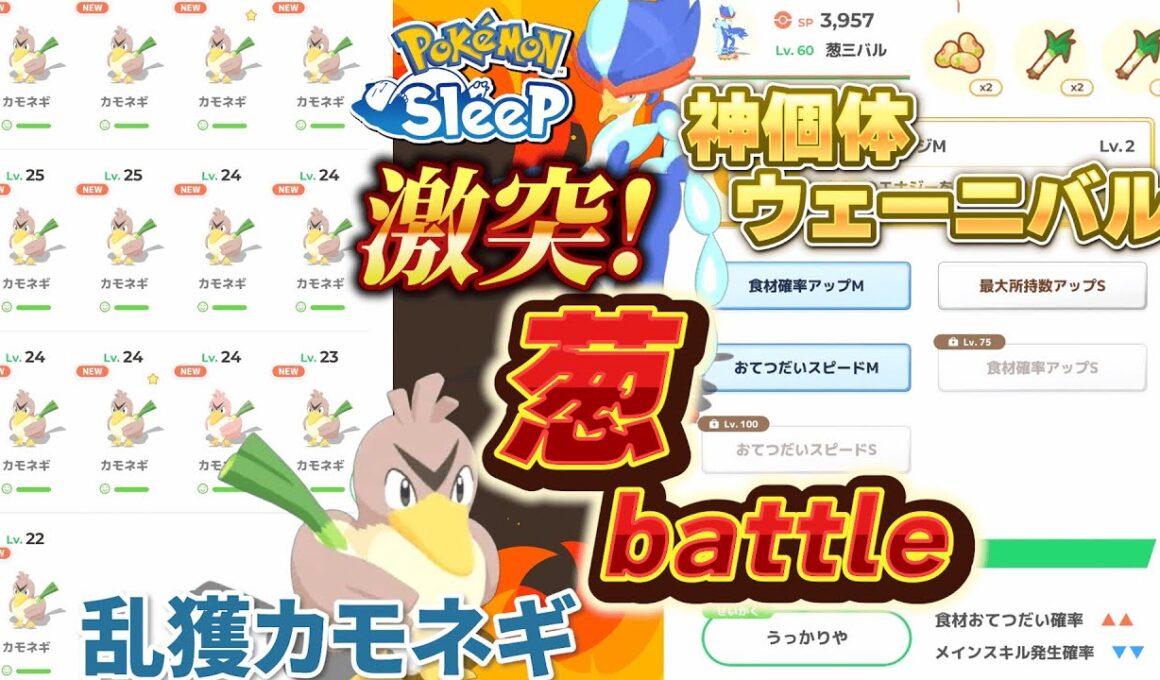 【激突!葱バトル！】その辺で見つけたカモネギと神個体ウェーニバル葱数比較してみた。【ポケモンスリープ】