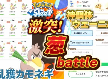 【激突!葱バトル！】その辺で見つけたカモネギと神個体ウェーニバル葱数比較してみた。【ポケモンスリープ】