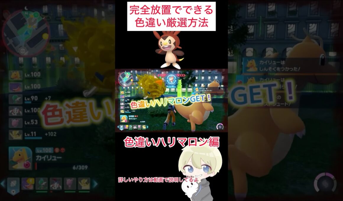 【ポケモンZA】完全放置でできる！色違いハリマロン厳選！ #ポケモン #ポケモンza #ポケモンレジェンズza #pokemon #色違い厳選 #色違い #shorts