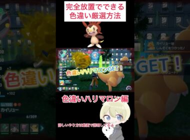 【ポケモンZA】完全放置でできる！色違いハリマロン厳選！ #ポケモン #ポケモンza #ポケモンレジェンズza #pokemon #色違い厳選 #色違い #shorts