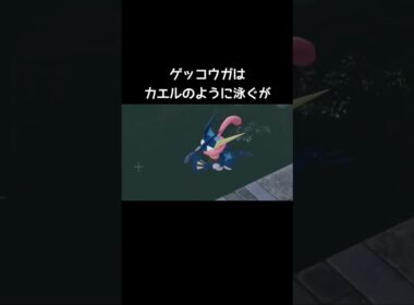 ゲッコウガたちの泳ぎ方【ポケモンZA】