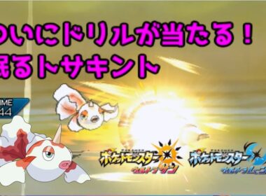 【ポケモンUSUM】ついにドリルが当たる！眠るトサキント【ウルトラサン/ウルトラムーン】