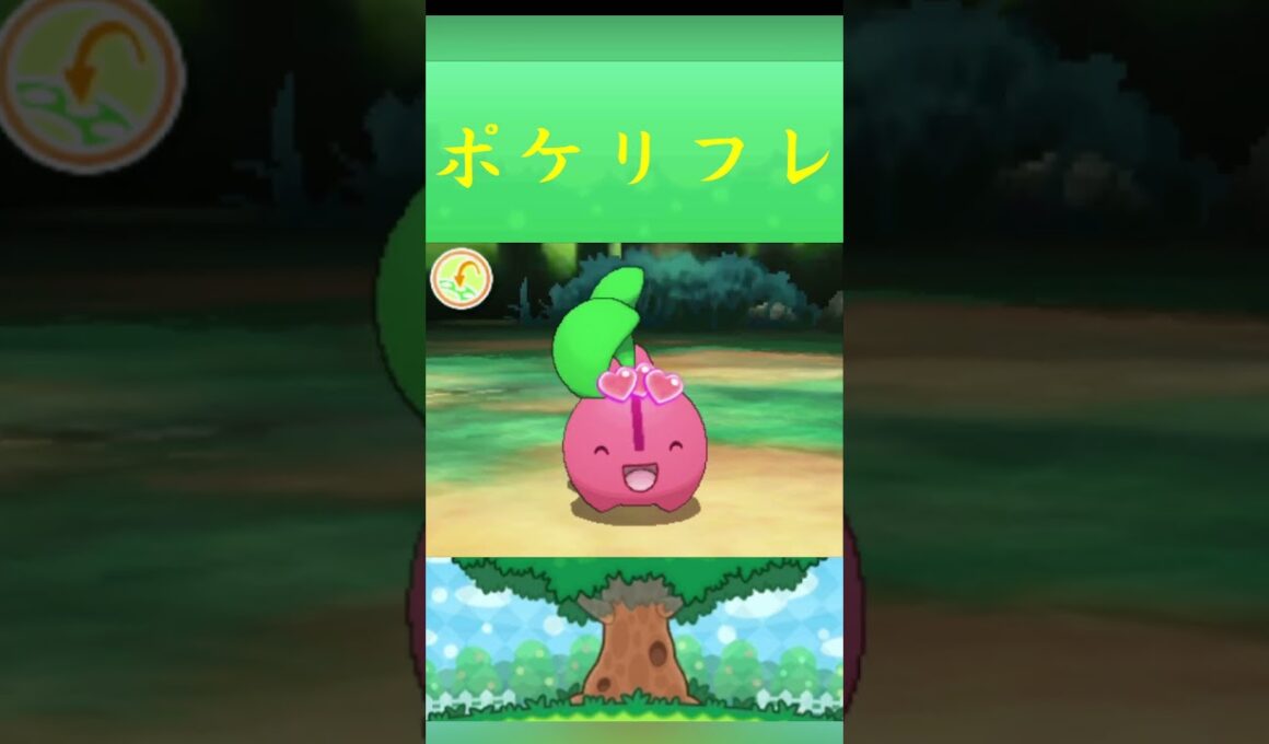 ポケモン チェリンボ ポケリフレ ポケパルレ #ポケモン #Pokemon  #3DS #ポケモン技 #ポケモンsv #ポケモン#キャンプ #カレー #サンドイッチ #ピクニック