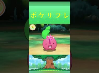 ポケモン チェリンボ ポケリフレ ポケパルレ #ポケモン #Pokemon  #3DS #ポケモン技 #ポケモンsv #ポケモン#キャンプ #カレー #サンドイッチ #ピクニック