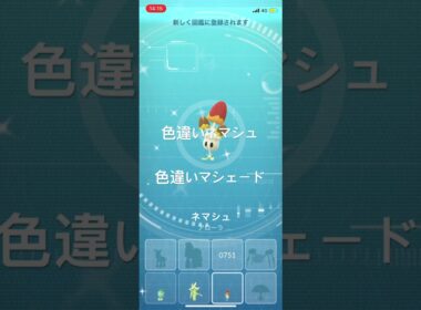 ポケモンGO 色違いネマシュ出現！色違いマシェードへ進化！ #pokémon #ポケモン #ポケモンgo #pokemongo