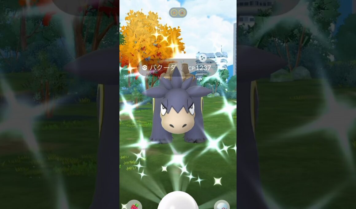 【ポケモンGO】メガバクーダ！レイドデイで高個体＆色違いチャレンジ！！#nintendo #pokemon #pokemongo #ポケモン #ポケモンgo #shorts #色違い #バクーダ