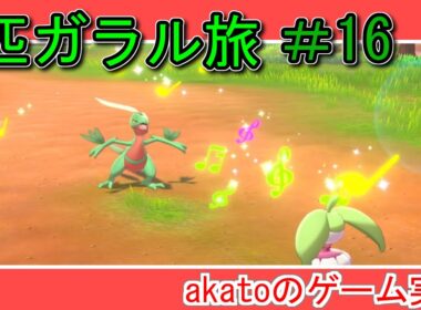 【１匹ガラル旅】#16 ジュプトル成長チュウ！【ポケモン剣盾】