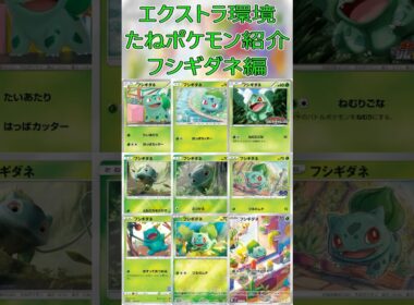 【ポケカ/エクストラ】エクストラおすすめたねポケモン紹介 フシギダネ編  #shorts #ポケモンカード #フシギダネ #pokemontcg #エクストラバトルの日