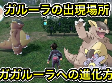 【レジェンズZA】ガルーラの出現場所！メガガルーラへの進化方法を解説