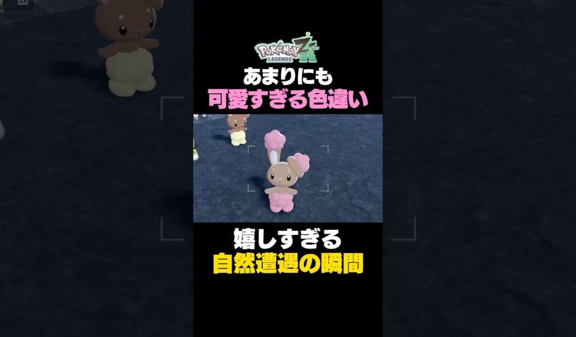 【ポケモンZA】ミミロルの色違いが可愛すぎた件www【色違いポケモン】#ポケモンレジェンズZA #色違いポケモン #色違いミミロル #ポケモンZA