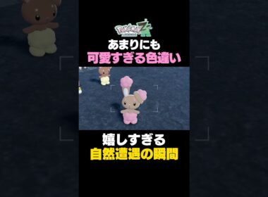 【ポケモンZA】ミミロルの色違いが可愛すぎた件www【色違いポケモン】#ポケモンレジェンズZA #色違いポケモン #色違いミミロル #ポケモンZA