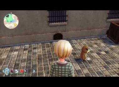 ポケモンZA　ミネズミ　色違い