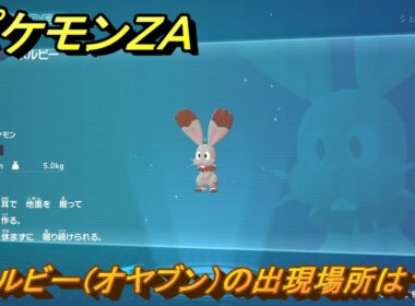ポケモンＺＡ　ホルビー（オヤブン）の出現場所は？図鑑０１３　＃５８６　【Pokémon LEGENDS Z-A】