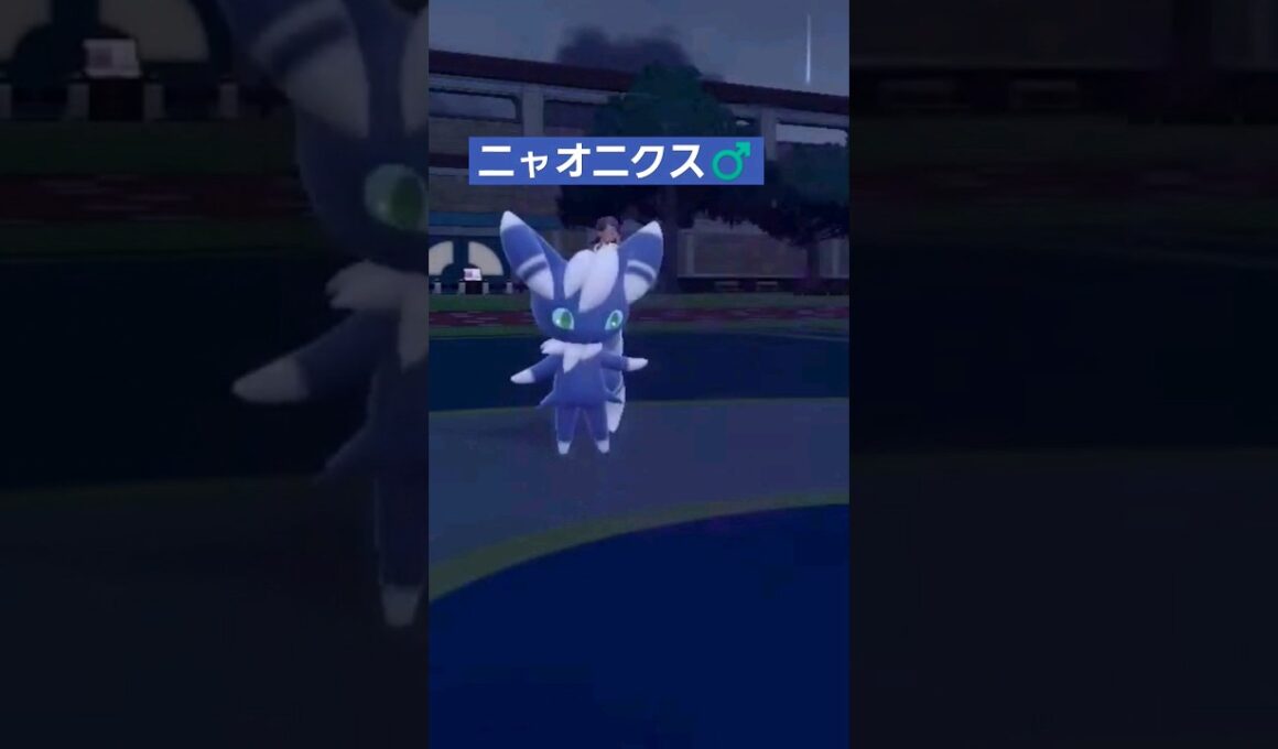 【ポケモンsv】ニャオニクス♂は耳が折れてるのカワイイし、いたずらごころも優秀！ #ポケモンsv  #ポケモンスカーレットバイオレット