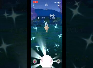 ポケモンgo 色違いバネブーゲットチャレンジ　#pokemongo #shiny