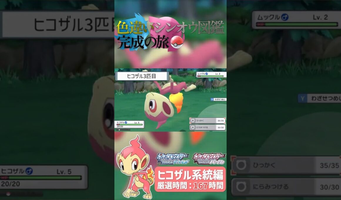 シンジ湖だけでヒコザル系統の色違いを全てゲットしてみた！！｜【ポケモンBDSP】色違いシンオウ図鑑完成の旅 #ダイパリメイク #ポケモン  #shinypokemon #色違い #ポケモンbdsp