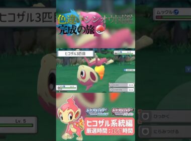 シンジ湖だけでヒコザル系統の色違いを全てゲットしてみた！！｜【ポケモンBDSP】色違いシンオウ図鑑完成の旅 #ダイパリメイク #ポケモン  #shinypokemon #色違い #ポケモンbdsp