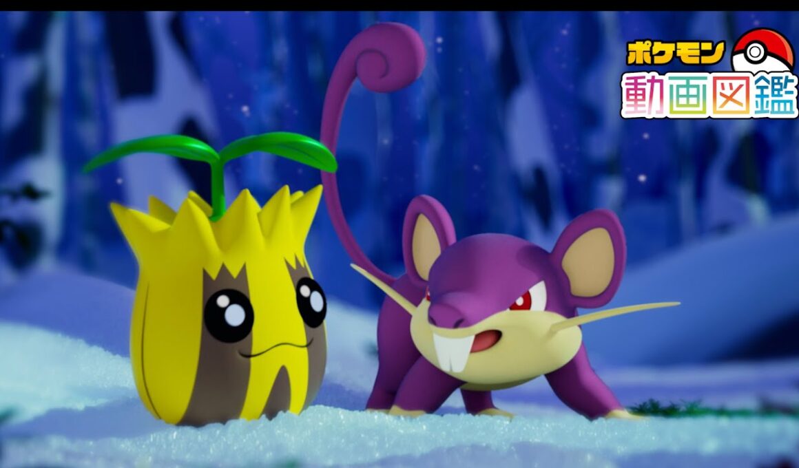 【公式】「ポケモン動画図鑑」No.0191 ヒマナッツ