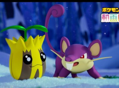 【公式】「ポケモン動画図鑑」No.0191 ヒマナッツ