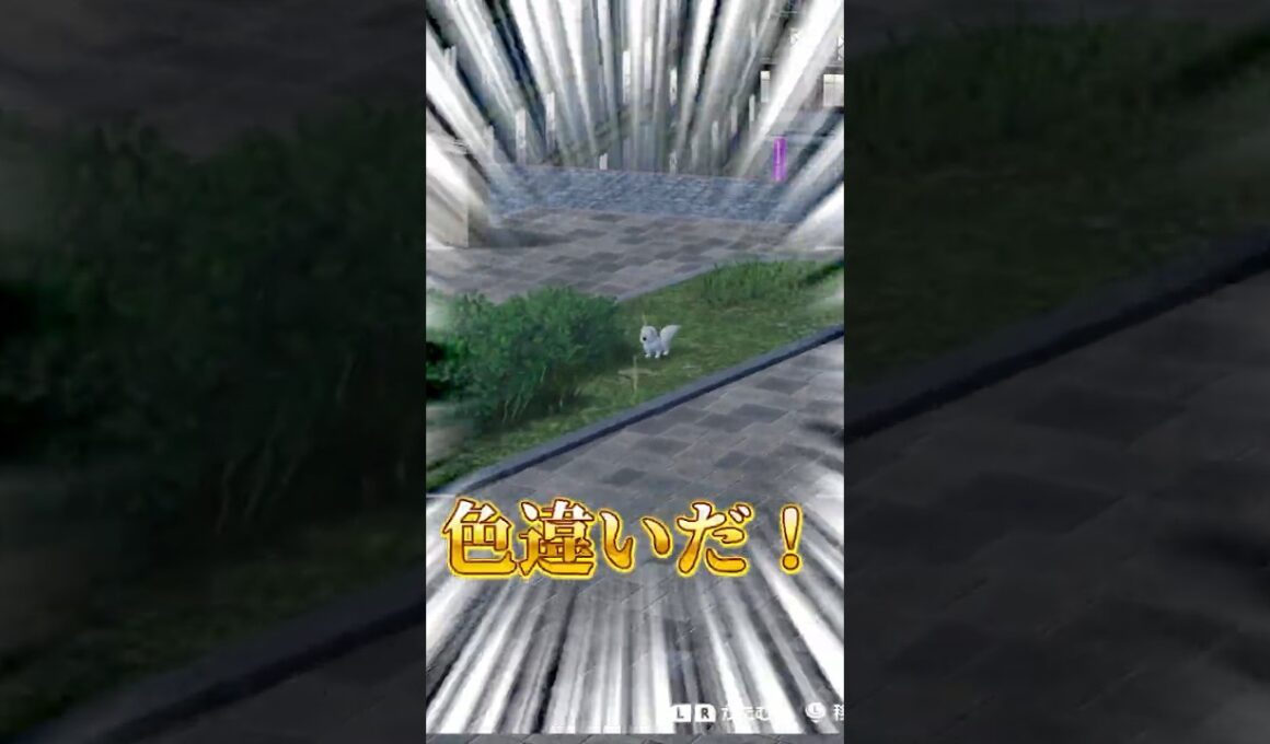 ポケモンZA、色違いラルトスとイーブイを放置で簡単に捕まえられる件 #ポケモン #pokemon #포켓몬ZA #色違い #shinyhunting