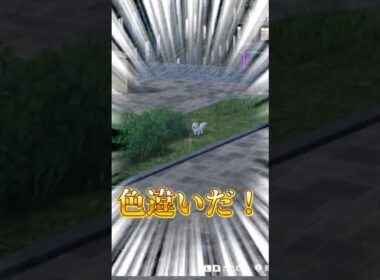 ポケモンZA、色違いラルトスとイーブイを放置で簡単に捕まえられる件 #ポケモン #pokemon #포켓몬ZA #色違い #shinyhunting