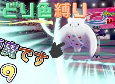 【ポケモン剣盾】緑色縛り＃9 〜ジムリーダー ポプラ！クイズとバトル！〜 【女性実況】【ソード・シールド】