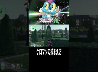【ポケモンZA】ケロマツの捕まえ方！#shorts
