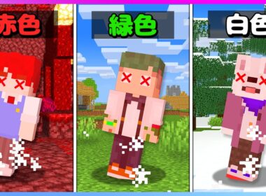 自分のメンバーカラーを踏んだら死ぬ？！色に触れたら死んでしまう鬼畜マインクラフト❤💛💚💜【まいくら・Minecraft】よろずや🍭