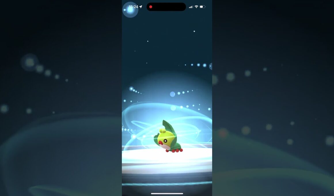 【ポケモンGO】色違いクルマユへ進化させる！コミュニティデイ #shorts