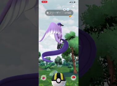 【ムーさん】ポケモンGO ガラルフリーザー　#ガラル三鳥