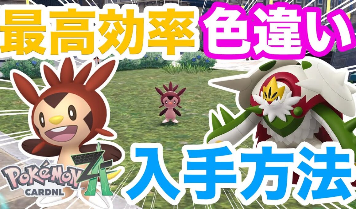 【ポケモンZA】簡単最速！色違いハリマロンの入手方法を解説！色違いブリガロンをゲットしてメガブリガロンに備えよう！