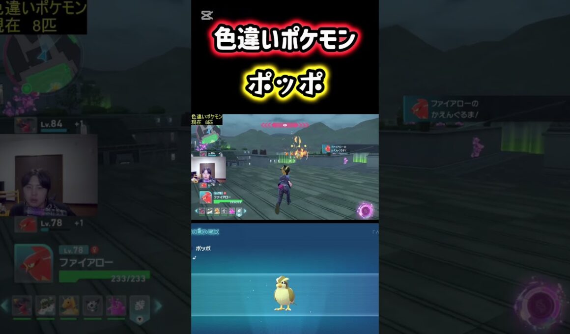 色違いポケモンのポッポをゲット！ #ポケモン #pokemon #ポケモンレジェンズZA #ポケットモンスター #シベリアチャンネル