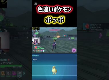 色違いポケモンのポッポをゲット！ #ポケモン #pokemon #ポケモンレジェンズZA #ポケットモンスター #シベリアチャンネル