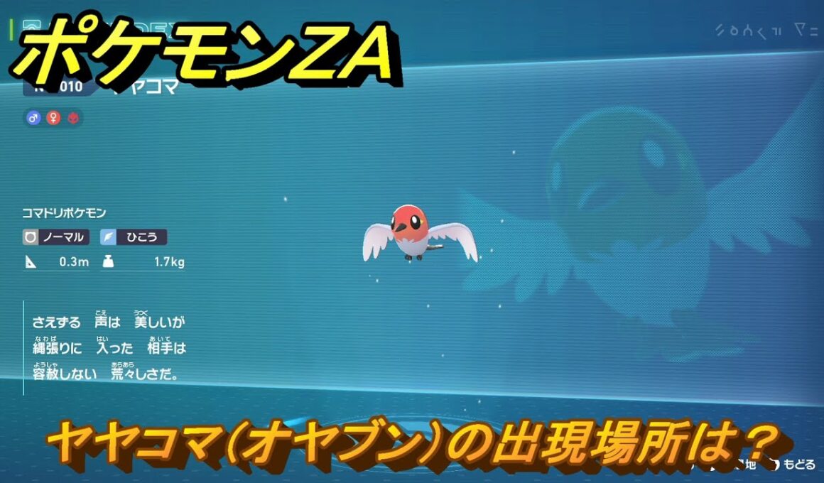 ポケモンＺＡ　ヤヤコマ（オヤブン）の出現場所は？図鑑０１０　＃５８８　【Pokémon LEGENDS Z-A】