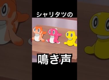#short #ポケモン #アニポケ 『シャリタツの鳴き声』