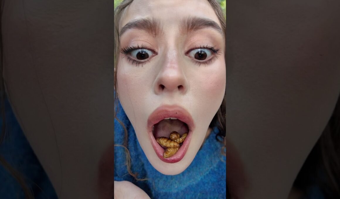 森でキャタピーとゴジラの卵食べてみた！ #shorts #ダモ好き