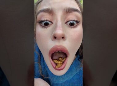 森でキャタピーとゴジラの卵食べてみた！ #shorts #ダモ好き