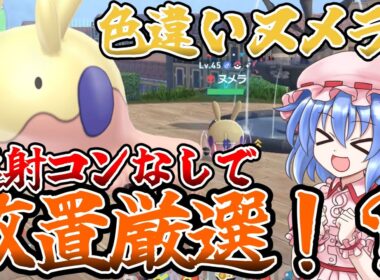 【連射コン要らず！】放置で色違いヌメラの楽な厳選場所紹介！【ポケモンレジェンズZA】【色違い厳選】