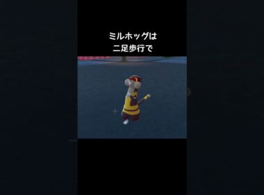 ミネズミとミルホッグの移動方法の違い【ポケモンZA】