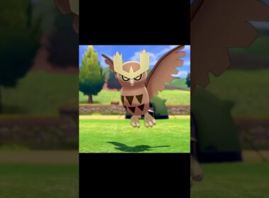 こちらに向かって笑顔を見せるヨルノズク　#Shorts