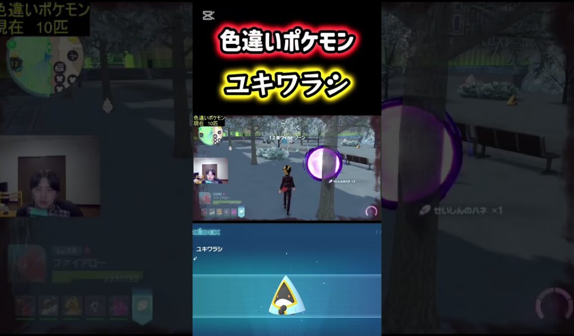 色違いポケモンのユキワラシをゲット！ #ポケモン #pokemon #ポケモンレジェンズZA #ポケットモンスター #シベリアチャンネル