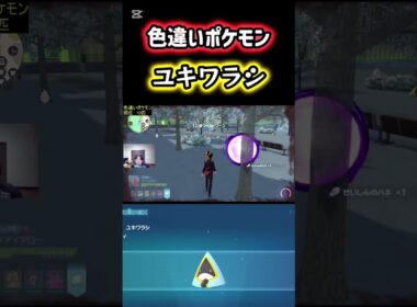 色違いポケモンのユキワラシをゲット！ #ポケモン #pokemon #ポケモンレジェンズZA #ポケットモンスター #シベリアチャンネル