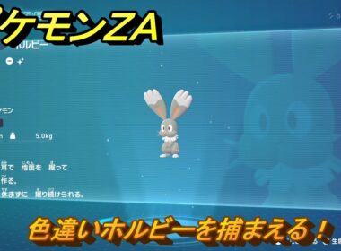 ポケモンＺＡ　色違いホルビーを捕まえる！　＃６０１　【Pokémon LEGENDS Z-A】