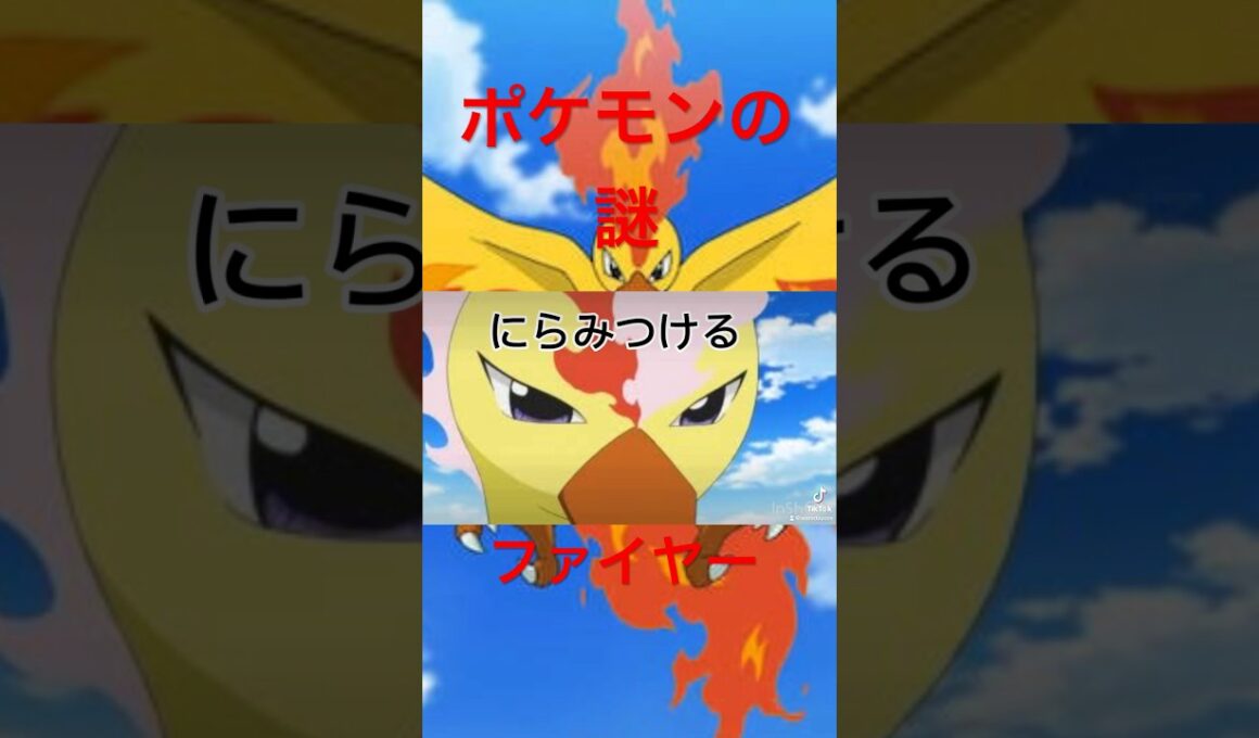 ポケモンの謎 ファイヤー #ポケモン #ポケモンsv ほ#ポケットモンスター #capcut #tiktok #shorts #short #ファイヤー
