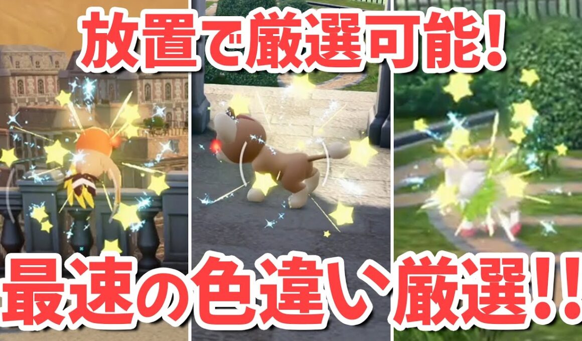 放置でもできる！1番簡単に色違いを厳選する方法！《シシコ・フラベベ・メェークル・ヤンチャム》【 Pokémon LEGENDS Z-A ポケモンレジェンズZA 】