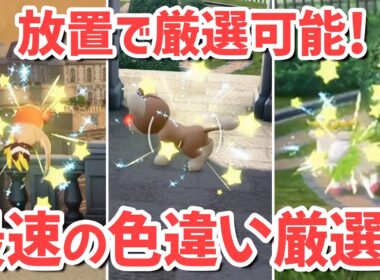 放置でもできる！1番簡単に色違いを厳選する方法！《シシコ・フラベベ・メェークル・ヤンチャム》【 Pokémon LEGENDS Z-A ポケモンレジェンズZA 】