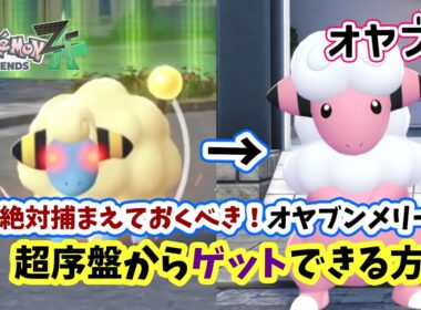 【ポケモンZA】超序盤から可愛くて超強い！オヤブンメリープを仲間にする方法を攻略！初心者さんにオススメな出現場所から捕獲方法やオヤブンモココ進化まで詳しく解説！ポケモンレジェンズZA
