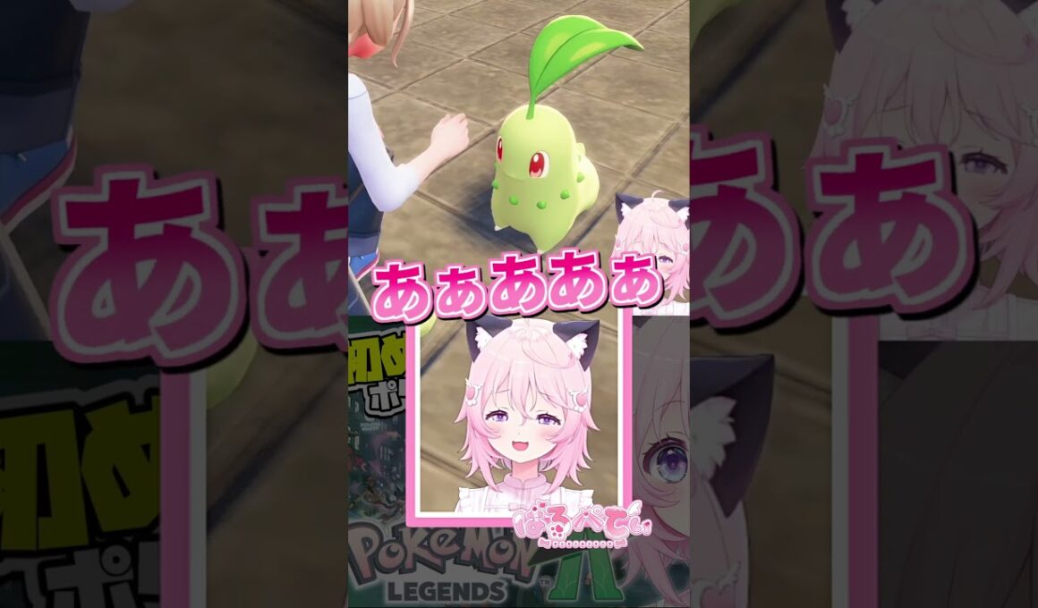 チコリータというポケモンが可愛すぎて悶絶するぱるぺてぃ🍃 〖 #切り抜き 〗#pokemonlegendsza #pokemon