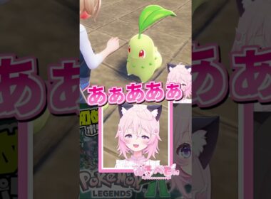 チコリータというポケモンが可愛すぎて悶絶するぱるぺてぃ🍃 〖 #切り抜き 〗#pokemonlegendsza #pokemon